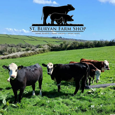 Spring Time on The Farm & Great British Beef Week