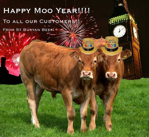 Happy Moo Year